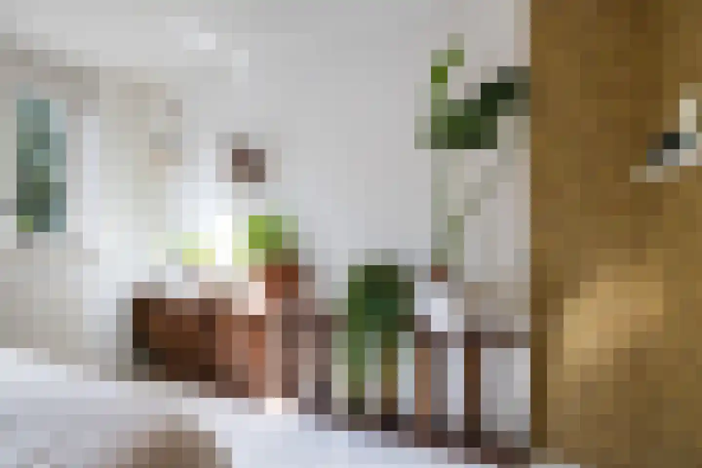 Eegracht 18 IJlst thumbnail 28