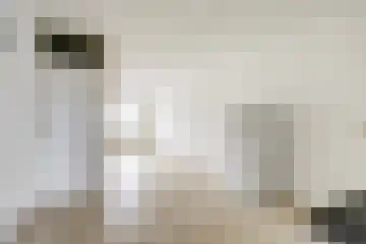 Eegracht 33 IJlst thumbnail 17