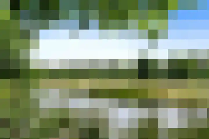 Eegracht 33 IJlst thumbnail 29