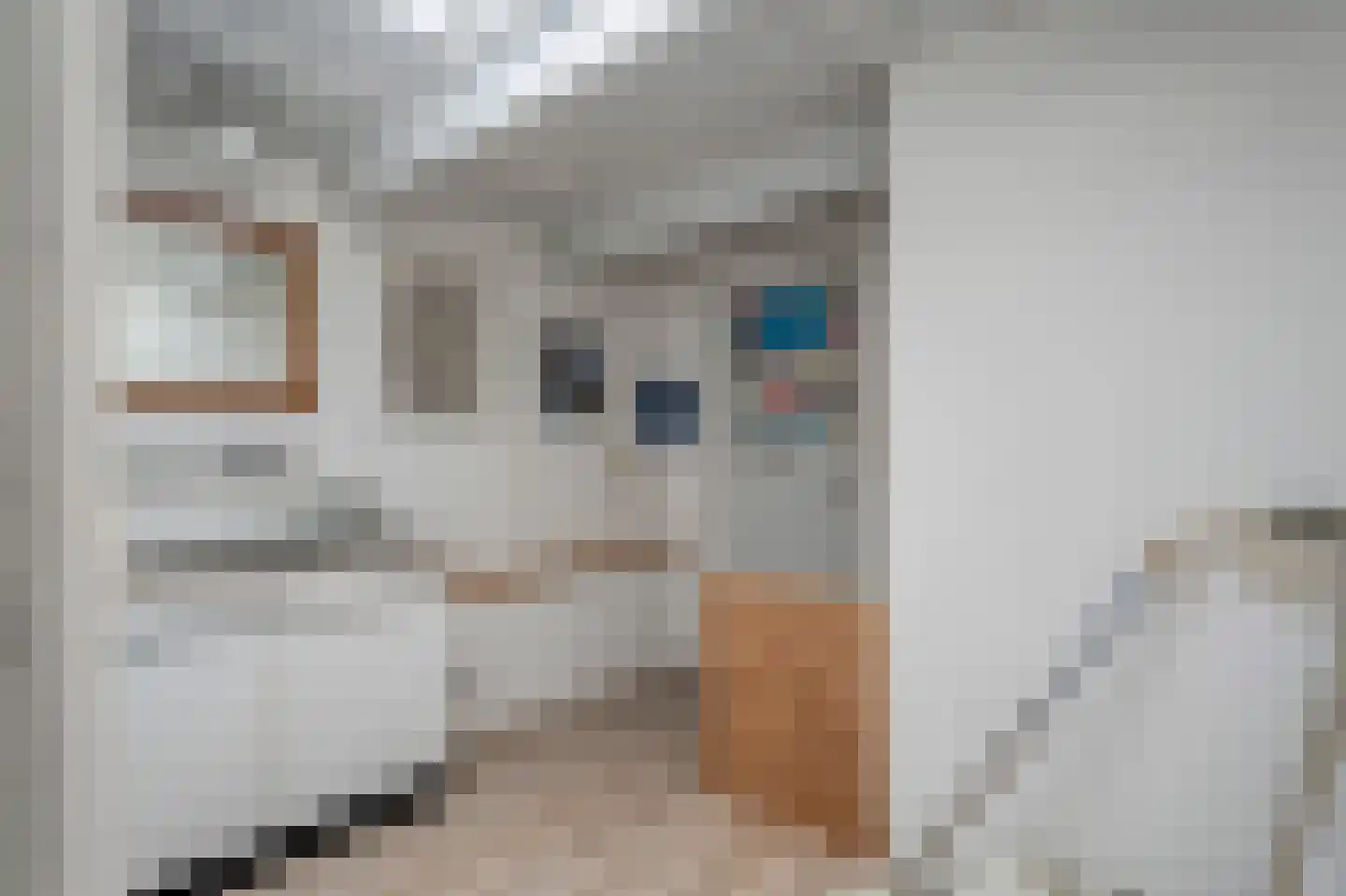 Eegracht 33 IJlst thumbnail 55