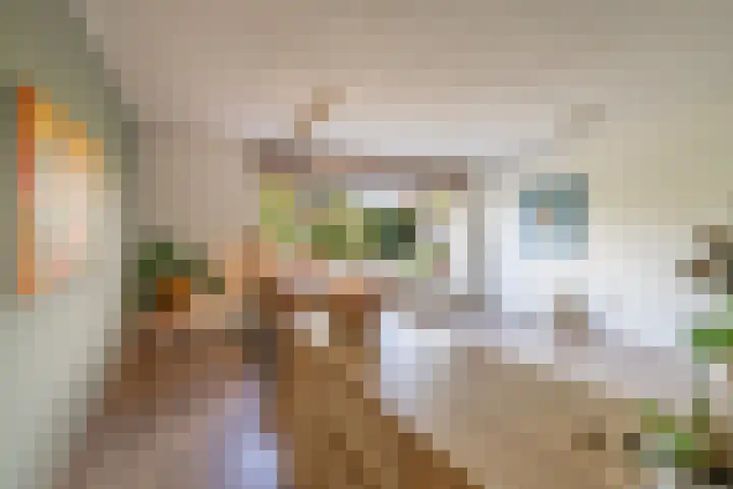 Eek 48 Huizen thumbnail 10