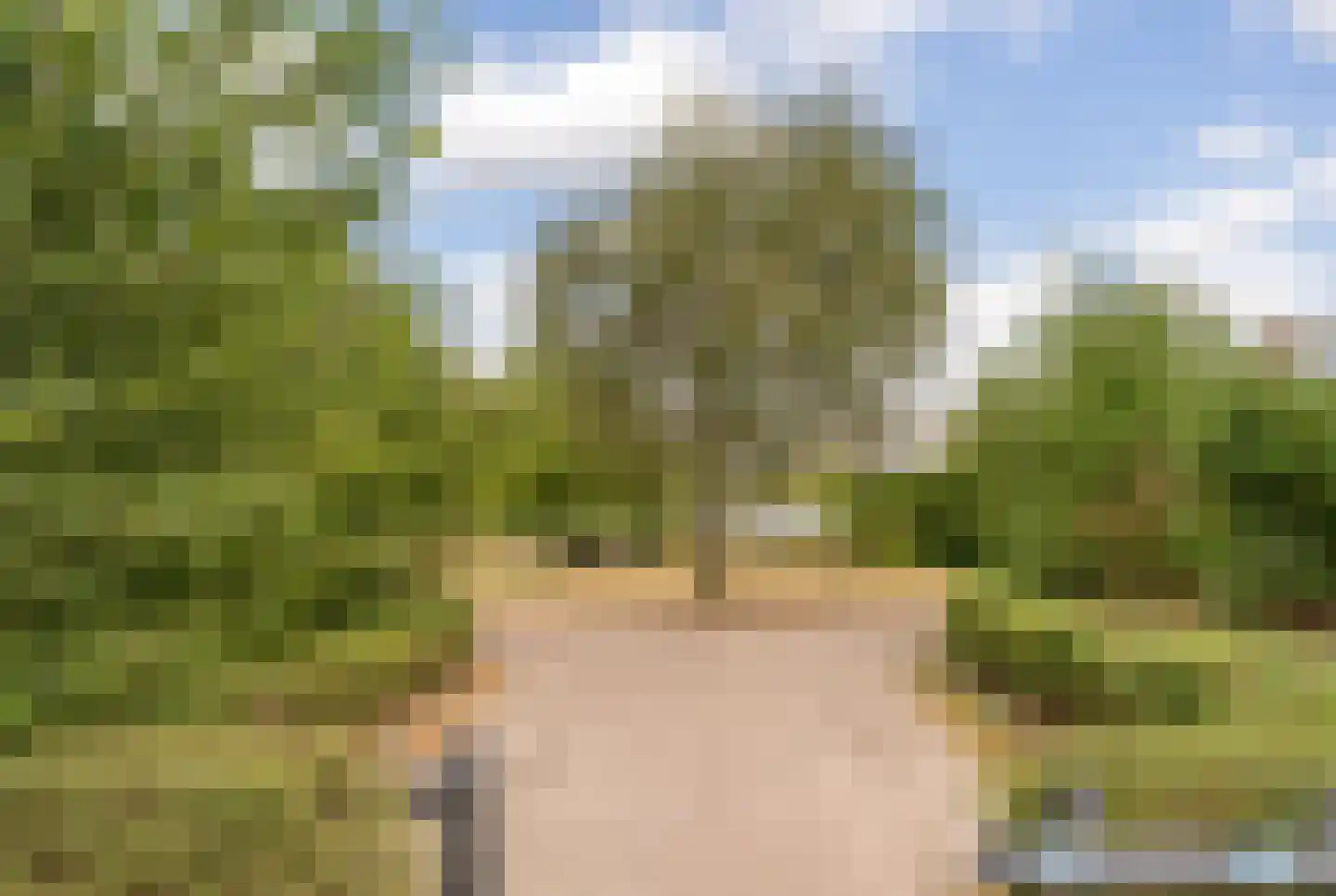 Eek 48 Huizen thumbnail 25