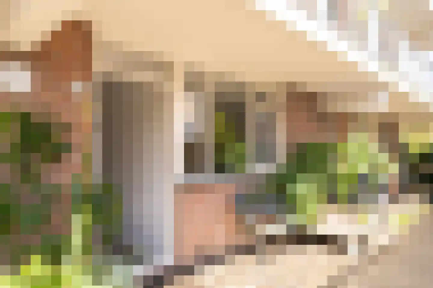 Eek 48 Huizen thumbnail 6