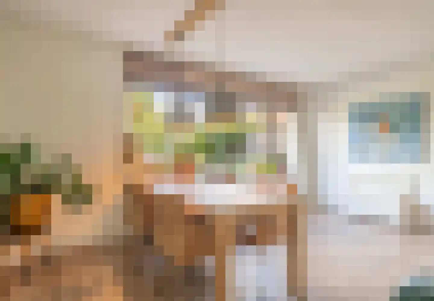 Eek 48 Huizen thumbnail 9