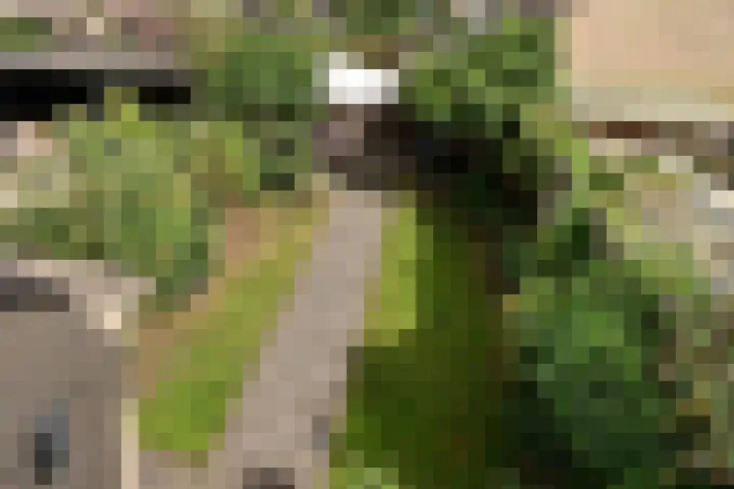 Eek 6 Huizen thumbnail 6
