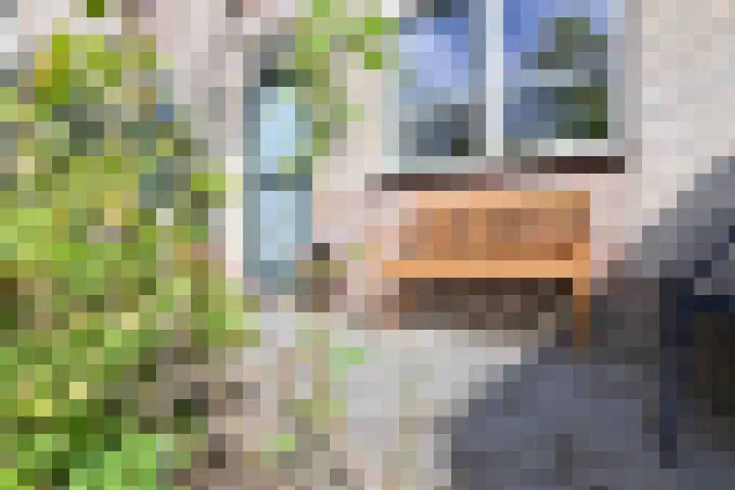 Eek 6 Huizen thumbnail 7