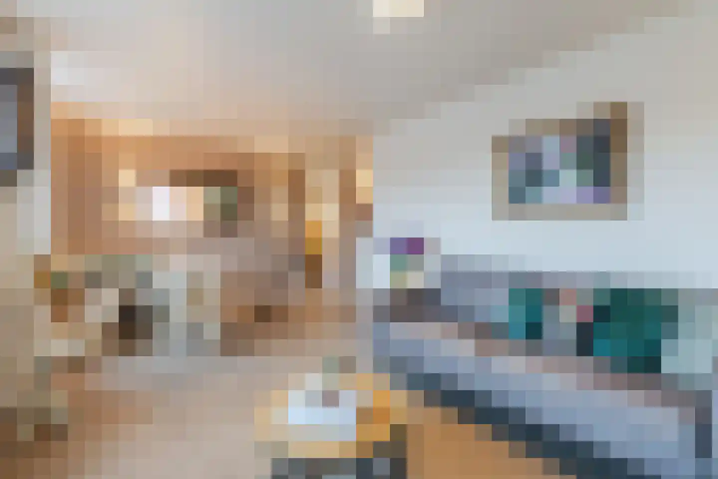 Eek 92 Huizen thumbnail 4