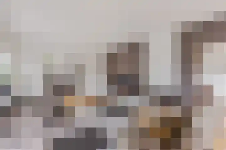 Eekboerstraat 52 Oldenzaal thumbnail 7