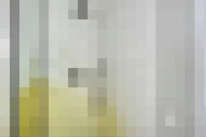 Eekbrouwersweg 6 A 's-Hertogenbosch thumbnail 16