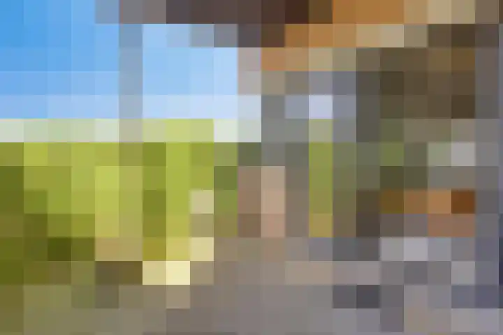 Eekbrouwersweg 6 A 's-Hertogenbosch thumbnail 18