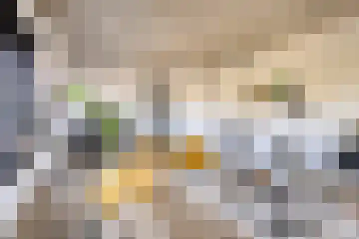 Eekbrouwersweg 6 A 's-Hertogenbosch thumbnail 5