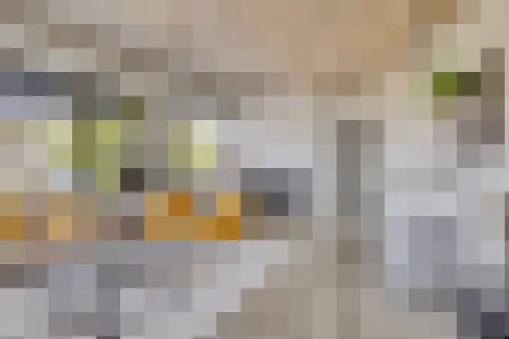 Eekbrouwersweg 6 A 's-Hertogenbosch thumbnail 6