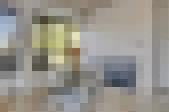 Eekbrouwersweg 6 A 's-Hertogenbosch thumbnail 7