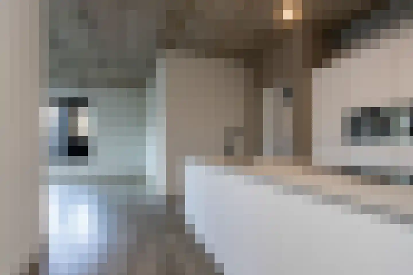 Eekbrouwersweg 6 B 's-Hertogenbosch thumbnail 19