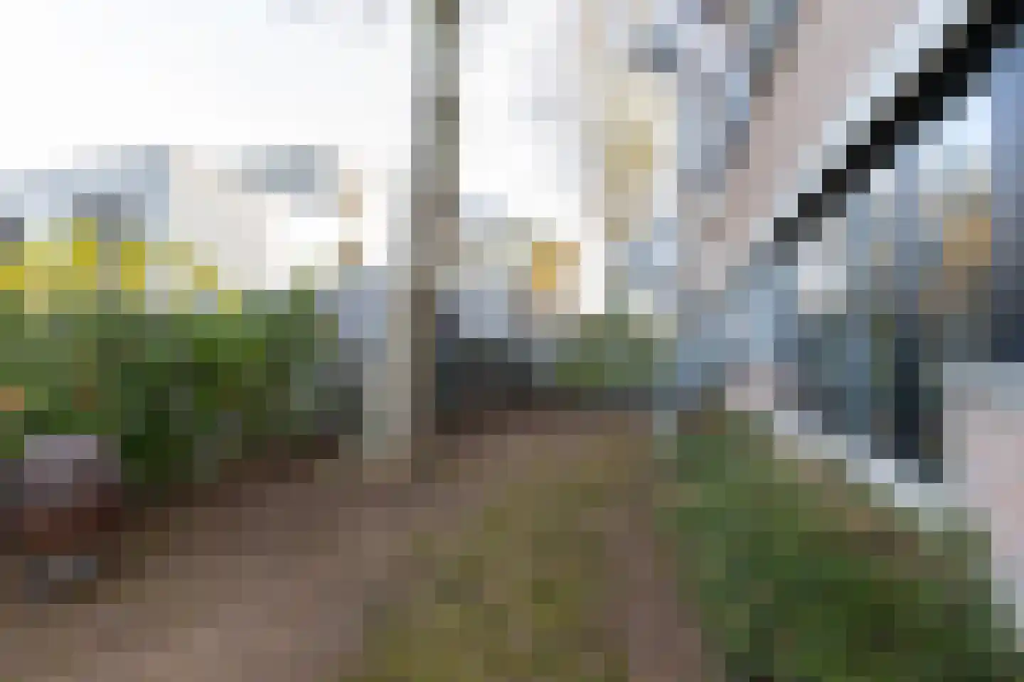 Eekbrouwersweg 6 B 's-Hertogenbosch thumbnail 27