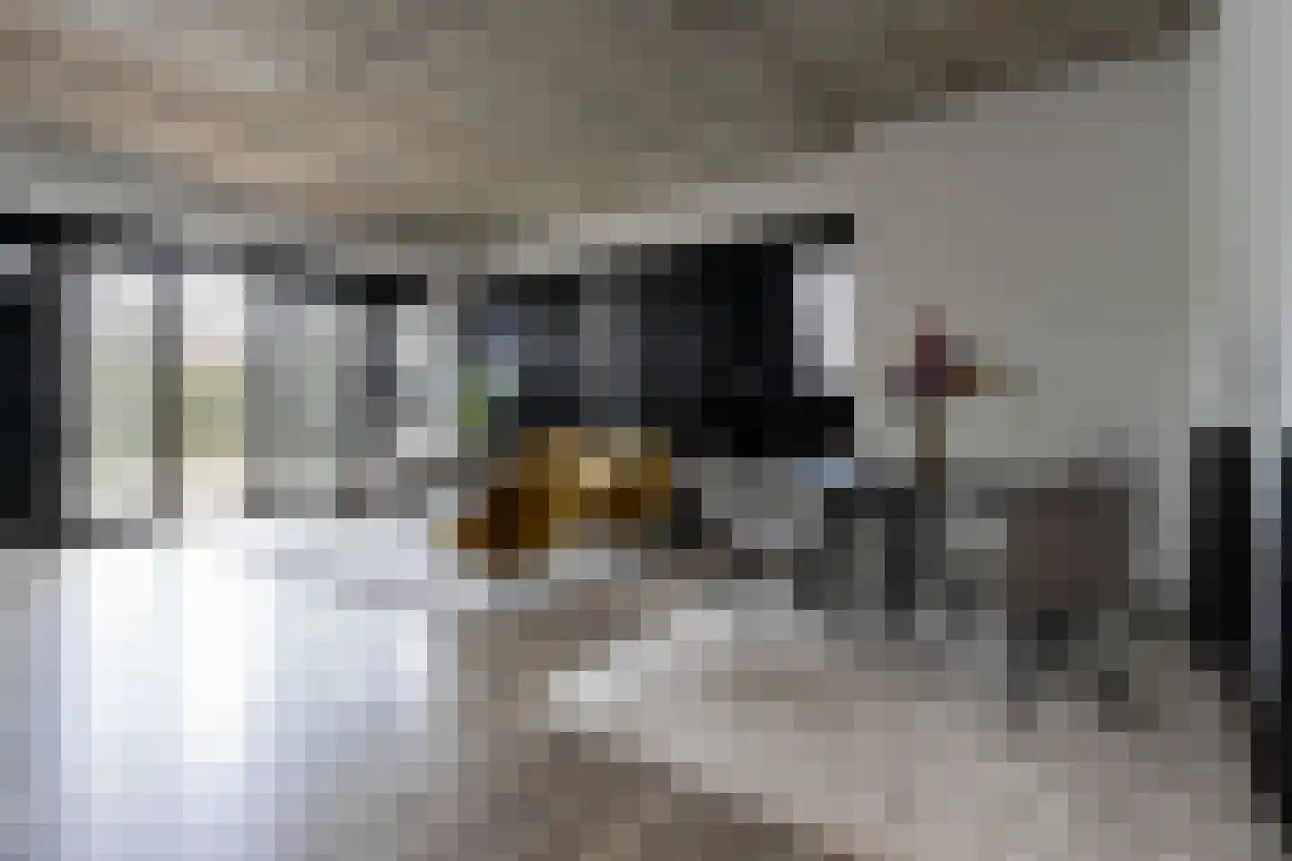 Eekbrouwersweg 6 B 's-Hertogenbosch thumbnail 4