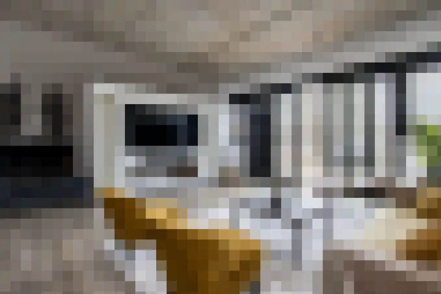 Eekbrouwersweg 6 B 's-Hertogenbosch thumbnail 6
