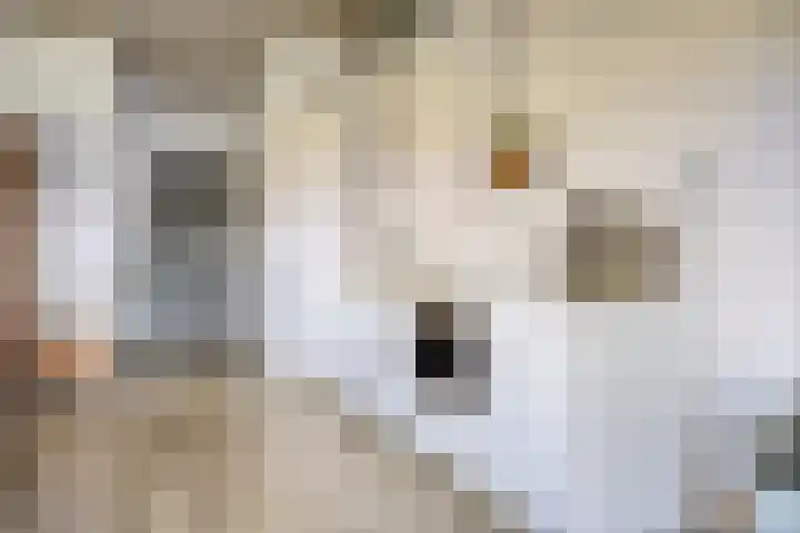 Eekbrouwersweg 6 C 's-Hertogenbosch thumbnail 10
