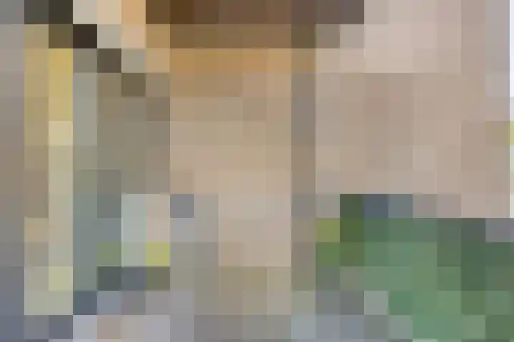 Eekbrouwersweg 6 C 's-Hertogenbosch thumbnail 23