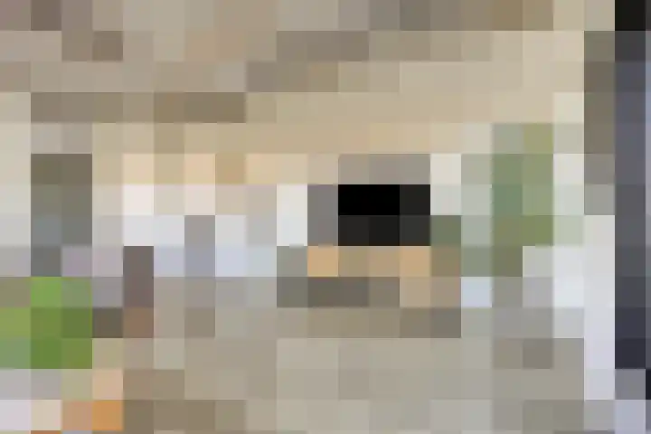 Eekbrouwersweg 6 C 's-Hertogenbosch thumbnail 7