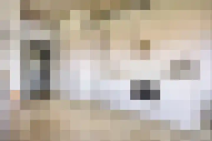 Eekbrouwersweg 6 C 's-Hertogenbosch thumbnail 9