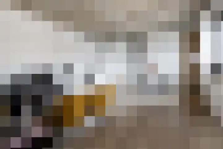Eekbrouwersweg 6 E 's-Hertogenbosch thumbnail 6