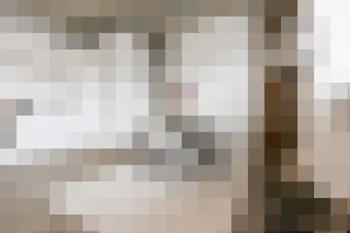 Eekbrouwersweg 6 E 's-Hertogenbosch thumbnail 7