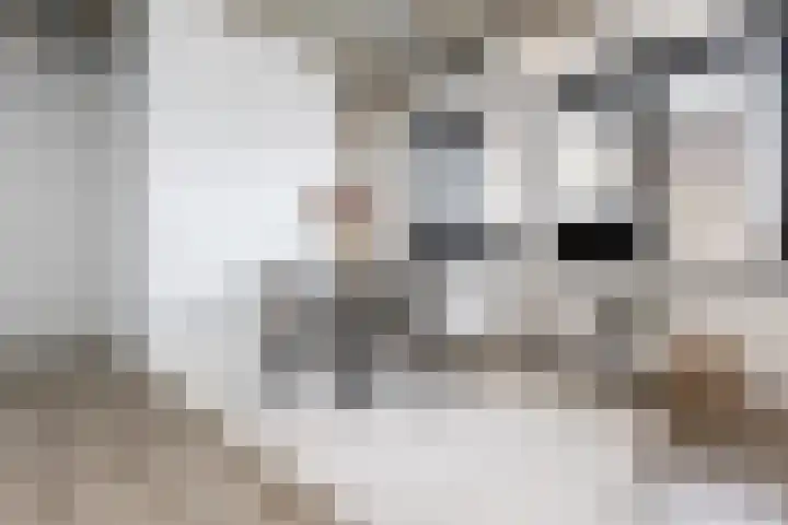 Eekbrouwersweg 6 E 's-Hertogenbosch thumbnail 8