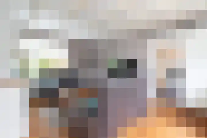 Eekebuursterweg 19 Oldekerk thumbnail 10