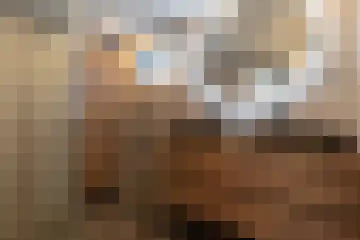 Eekebuursterweg 19 Oldekerk thumbnail 14