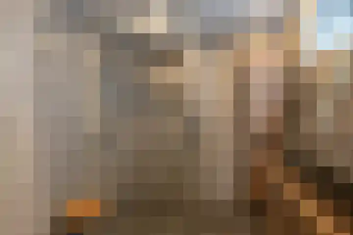 Eekebuursterweg 19 Oldekerk thumbnail 15