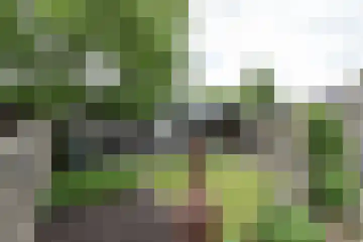 Eekebuursterweg 19 Oldekerk thumbnail 18
