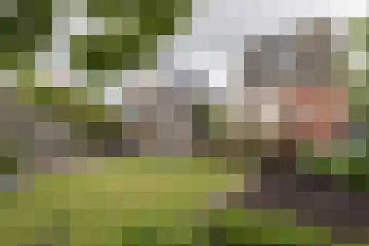 Eekebuursterweg 19 Oldekerk thumbnail 19