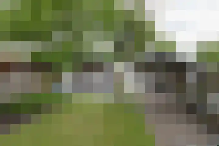 Eekebuursterweg 19 Oldekerk thumbnail 20