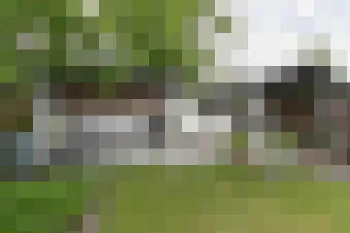 Eekebuursterweg 19 Oldekerk thumbnail 21