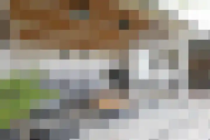Eekebuursterweg 19 Oldekerk thumbnail 22