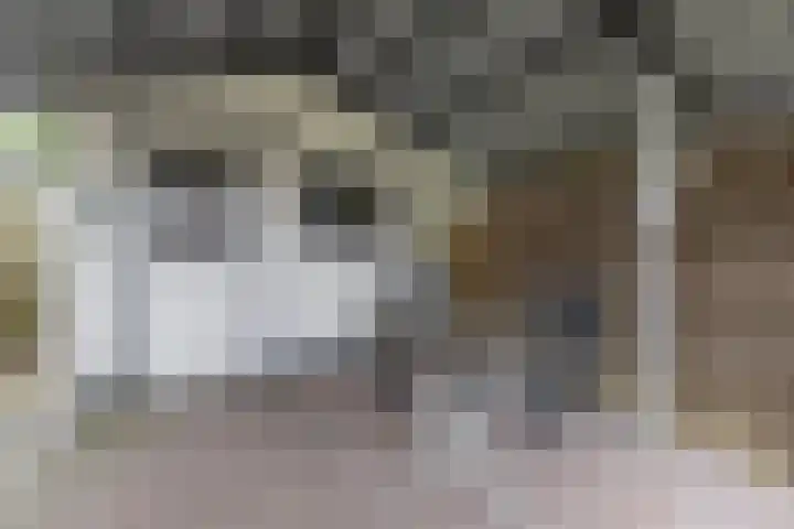 Eekebuursterweg 19 Oldekerk thumbnail 23