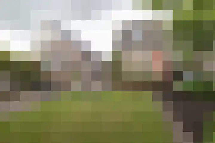 Eekebuursterweg 19 Oldekerk thumbnail 24