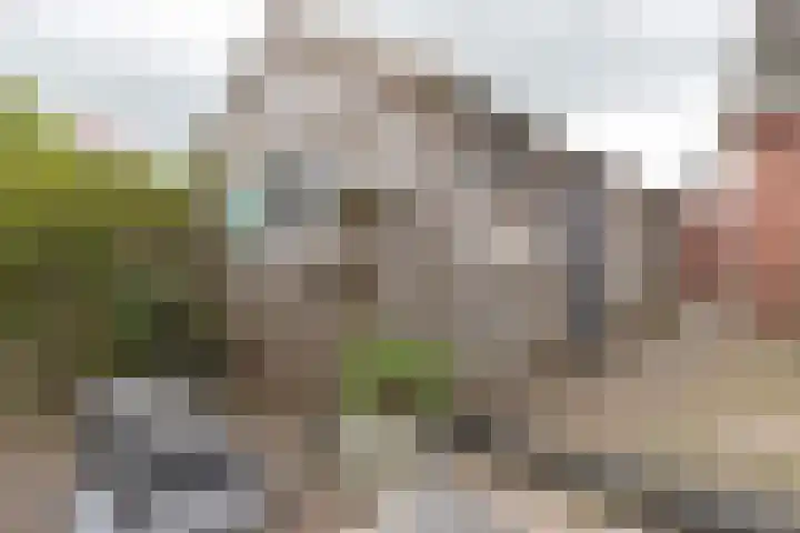 Eekebuursterweg 19 Oldekerk thumbnail 25