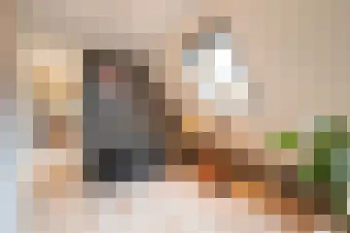 Eekebuursterweg 19 Oldekerk thumbnail 32