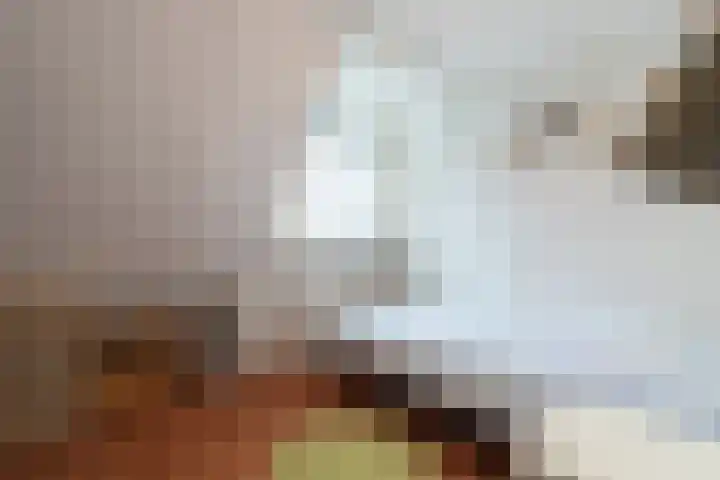 Eekebuursterweg 19 Oldekerk thumbnail 36