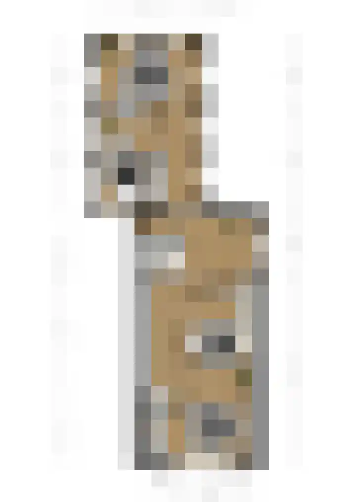Eekebuursterweg 19 Oldekerk thumbnail 42