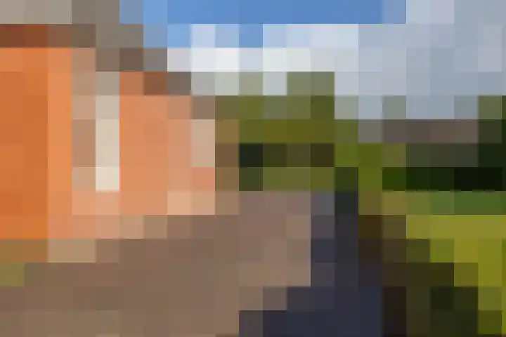 Eekebuursterweg 27 Oldekerk thumbnail 32