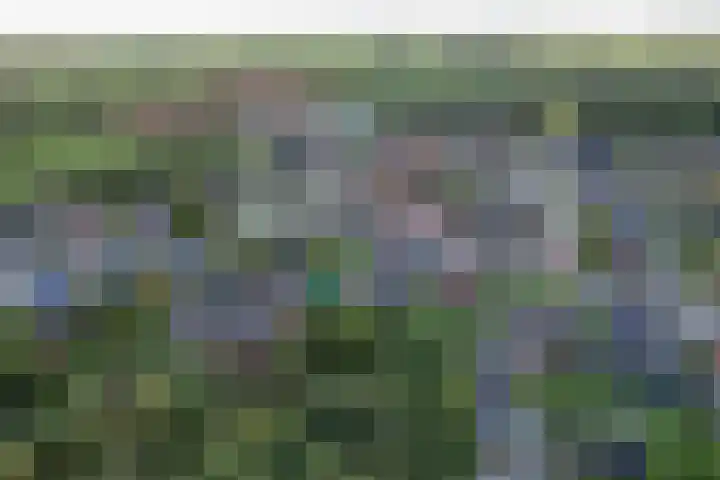 Eekebuursterweg 27 Oldekerk thumbnail 41