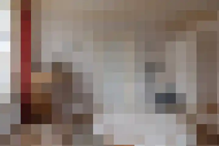 Eekebuursterweg 27 Oldekerk thumbnail 9