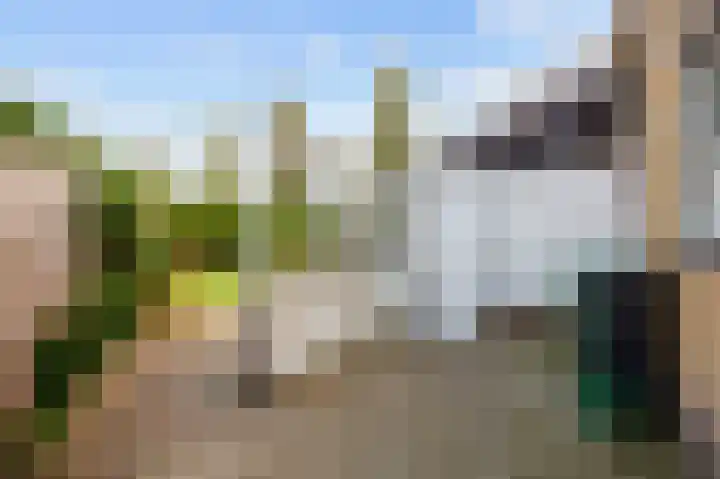 Eekebuursterweg 49 Oldekerk thumbnail 30