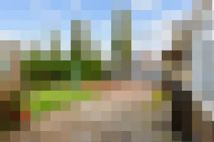 Eekebuursterweg 49 Oldekerk thumbnail 31