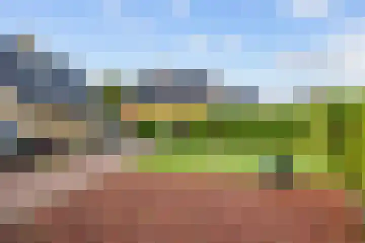 Eekebuursterweg 49 Oldekerk thumbnail 33