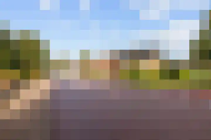 Eekebuursterweg 49 Oldekerk thumbnail 39