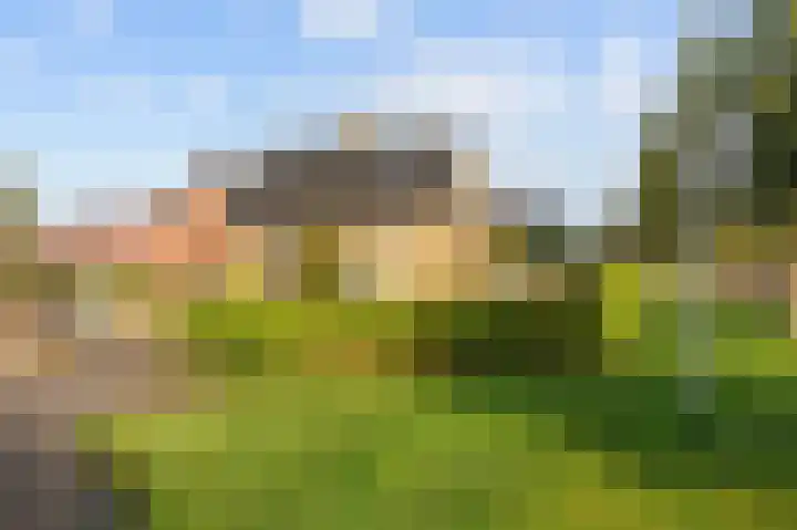Eekebuursterweg 49 Oldekerk thumbnail 4